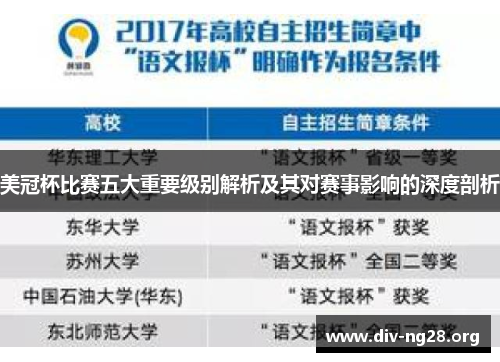 美冠杯比赛五大重要级别解析及其对赛事影响的深度剖析